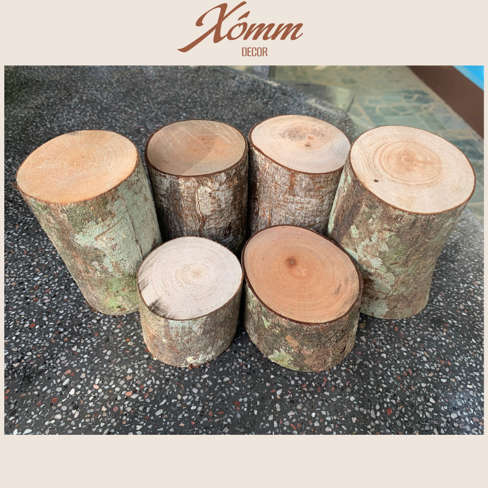 Khúc gỗ tự nhiên trang trí decor đk 3-8cm, dài 5-10cm, miếng gỗ tròn, củi khô trang trí giáng sinh, góc học tập