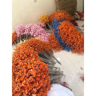 Cành Đào Râu