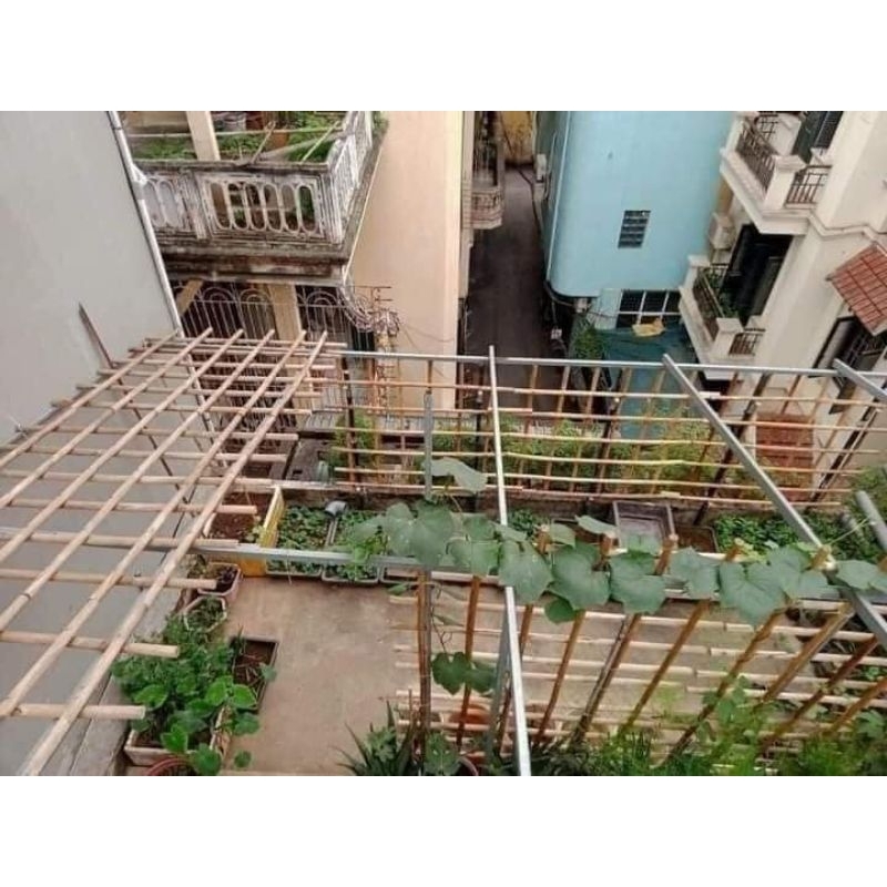 Thanh gỗ tròn Đa năng