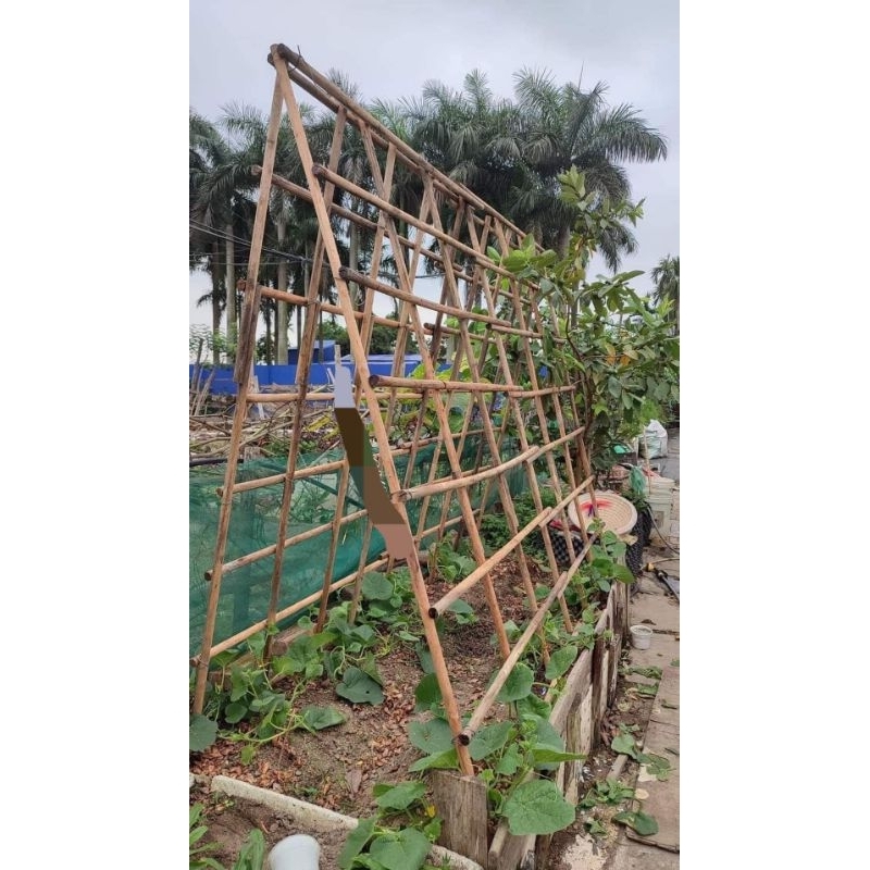 Thanh gỗ tròn Đa năng