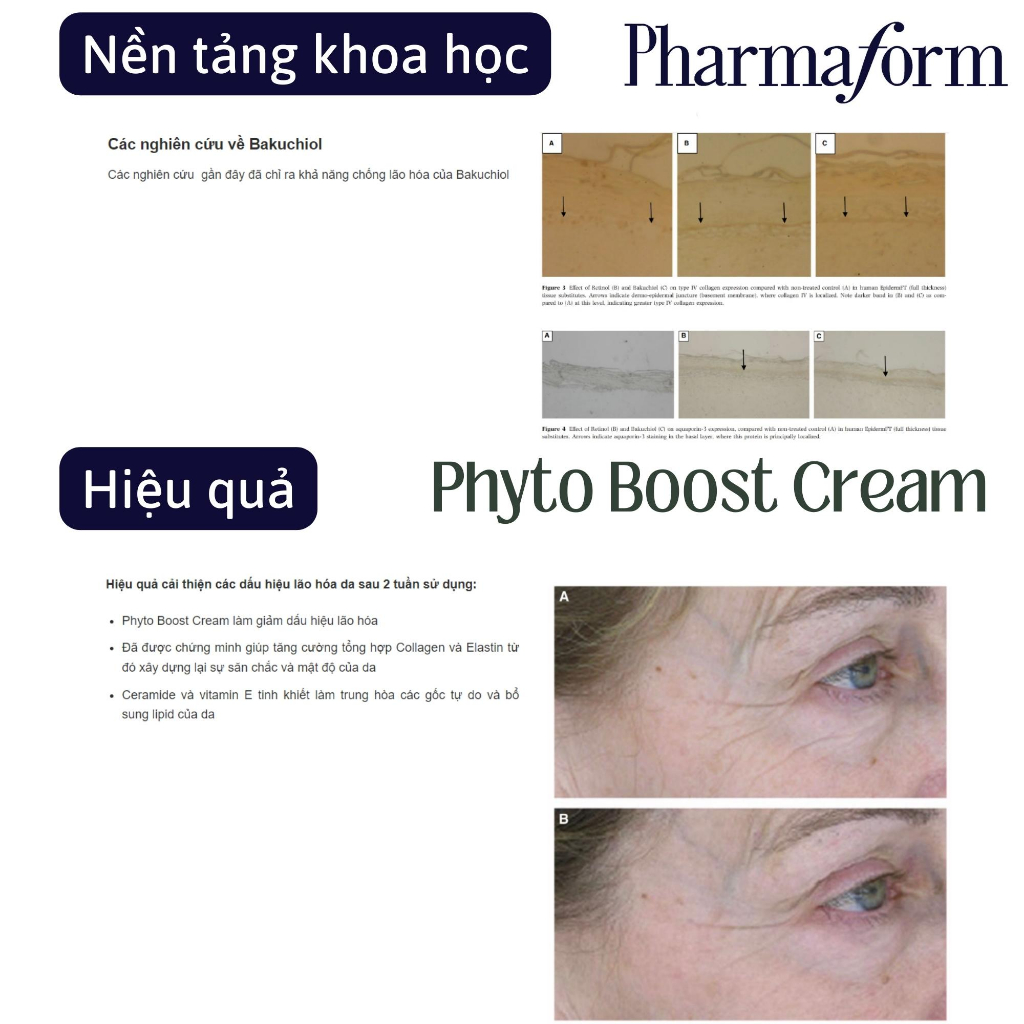Kem Chống Lão Hóa Và Phục Hồi Hàng Rào Bảo Vệ Da Pharmaform Phyto Boost Cream 30ml