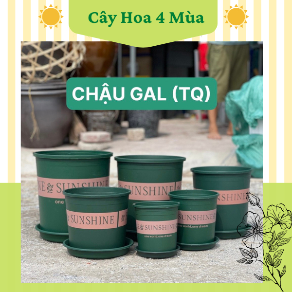 COMBO 5 CHẬU SIZE 5,6GAL Chậu nhựa trồng cây hoa MONROVIA ( SUN SHINE ) đủ các size hàng TRUNG có kèm đĩa lót