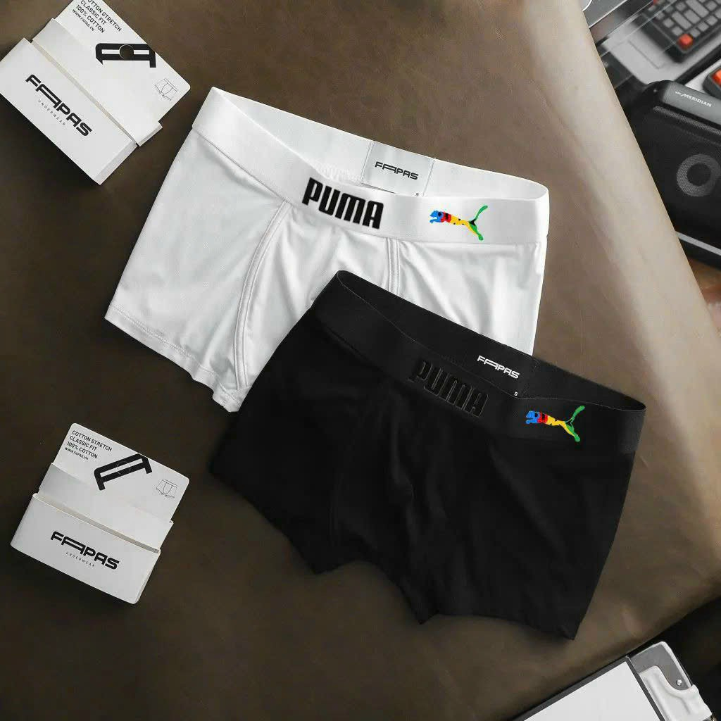 Quần lót nam thun lạnh nhật bản, quần sịp đúc full màu SIPNAM01