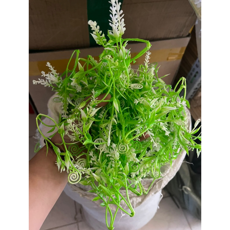 100g cỏ điểm nhựa móc câu
