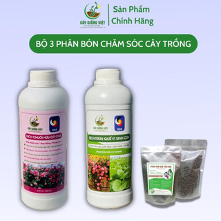 Bộ 3 phân bón chăm sóc hoa hồng tốt nhất - sản phẩm độc quyền mang thương hiệu CGV