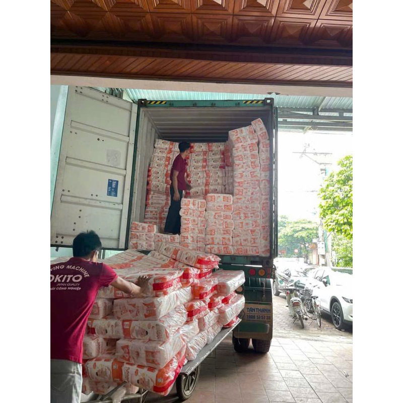 Bim quần EBONY COMBO M100/l100/xl100/xxl100/xxxl100/4xl100/5xl100