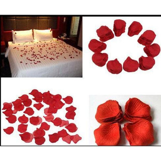 100 cánh hoa hồng
