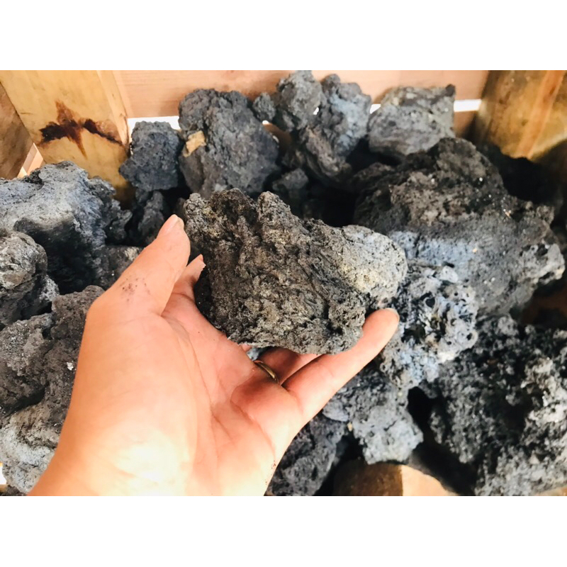 Đá đen gia lai dùng để trang trí bể cá bể thủy sinh bể terarium hàng lựa đẹp đã sử lý
