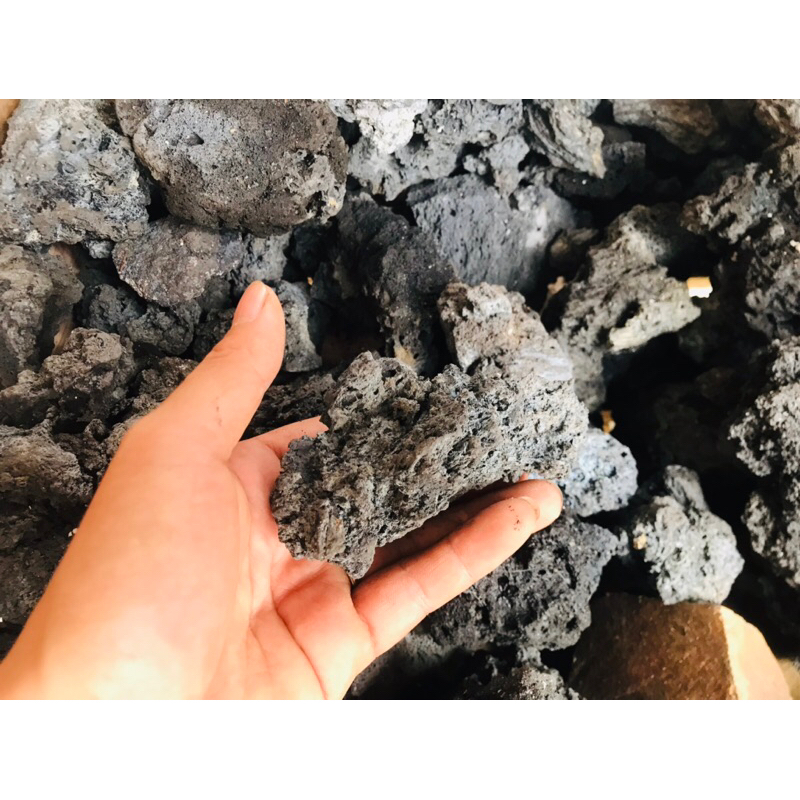 Đá đen gia lai dùng để trang trí bể cá bể thủy sinh bể terarium hàng lựa đẹp đã sử lý