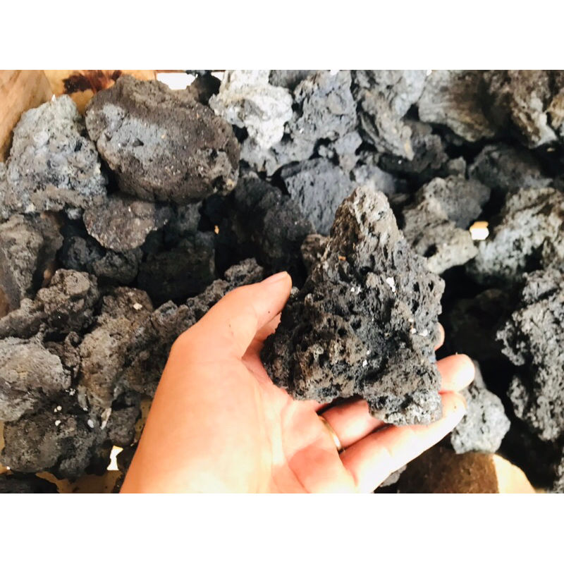 Đá đen gia lai dùng để trang trí bể cá bể thủy sinh bể terarium hàng lựa đẹp đã sử lý