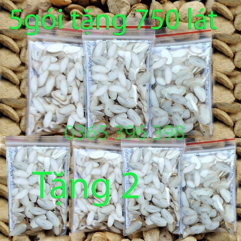 Hạt sang ,hạt sành trắng đau dạ dày đại tràng đi ngoài phân lõng lộ trình 5 gói 750 lát dài, tặng 2 gói