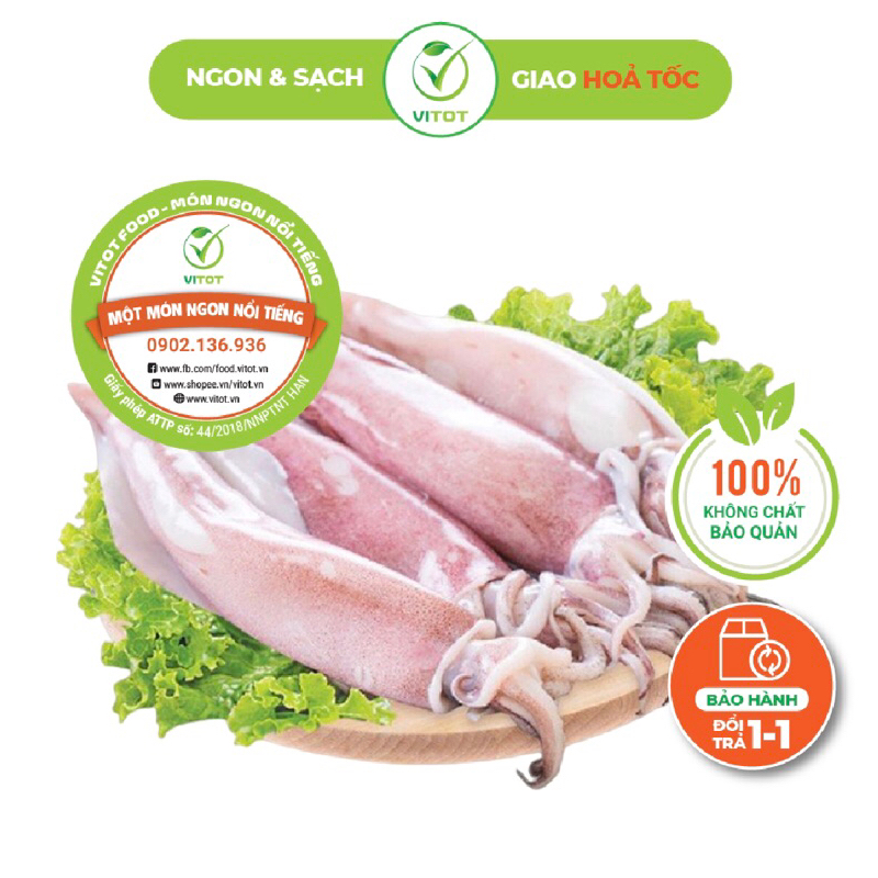Mực Ống To VITOT Tươi Ngon Sần Sật Vạn Người Mê