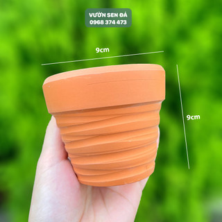 Chậu đất nung trồng sen đá