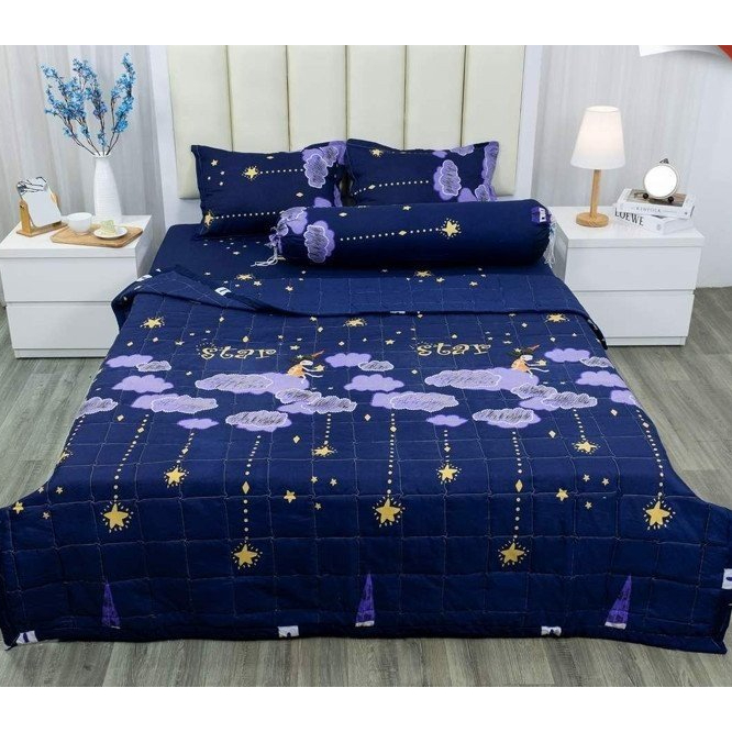 [RẺ VÔ ĐỊCH]Chăn Hè Trần Bông Cotton Poly