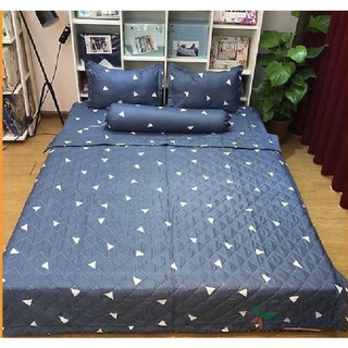 [RẺ VÔ ĐỊCH]Chăn Hè Trần Bông Cotton Poly