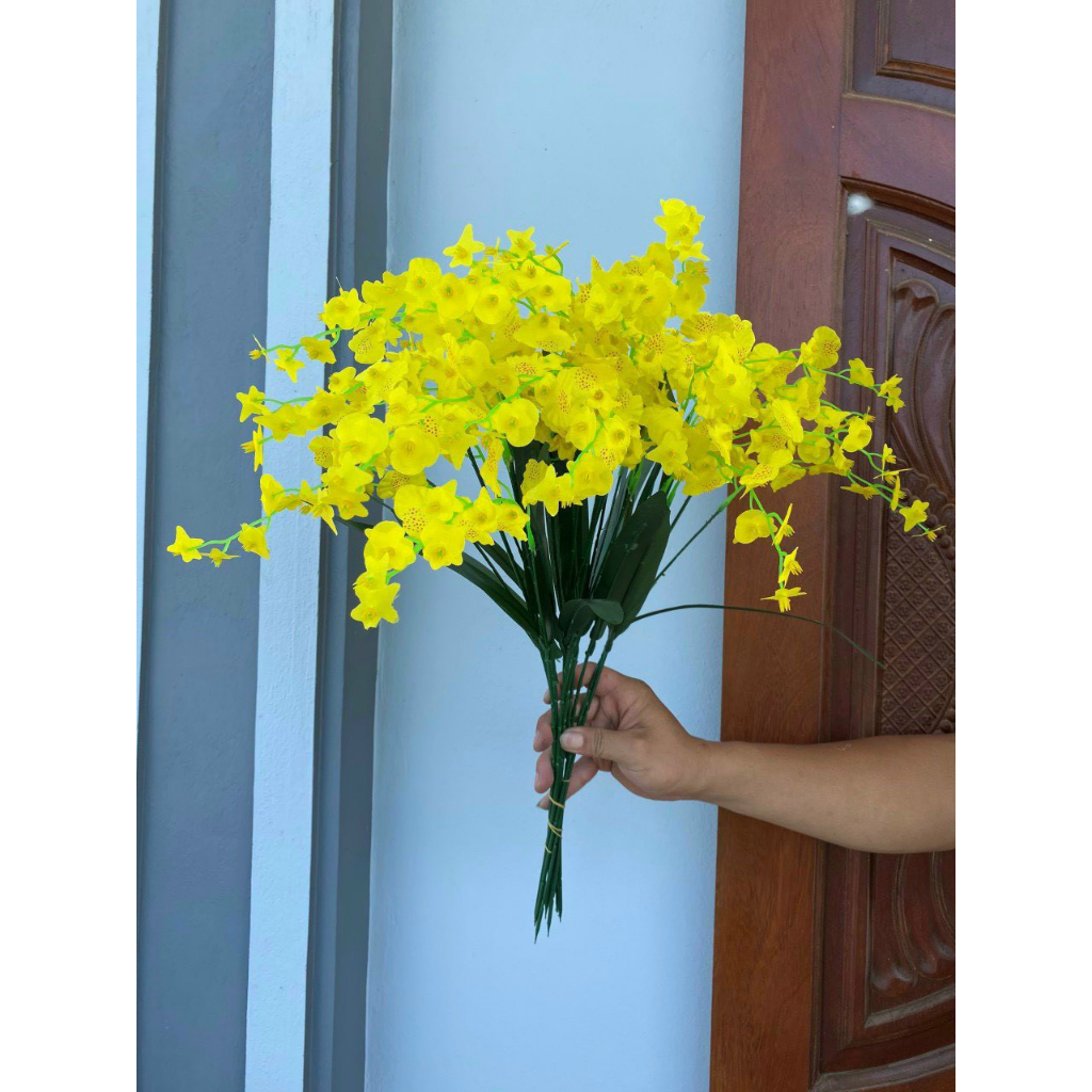 Cành lan vũ nữ giả, cành 65cm 3 nhánh