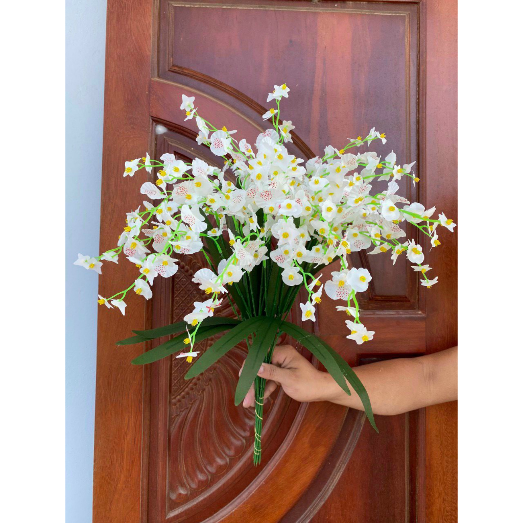 Cành lan vũ nữ giả, cành 65cm 3 nhánh