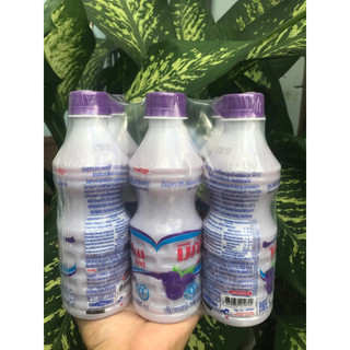 Sữa chua Thái lan 1 lốc 6  chai