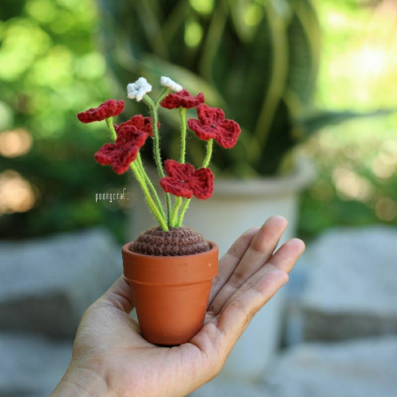 Plants oxalis • handmade ꕤ