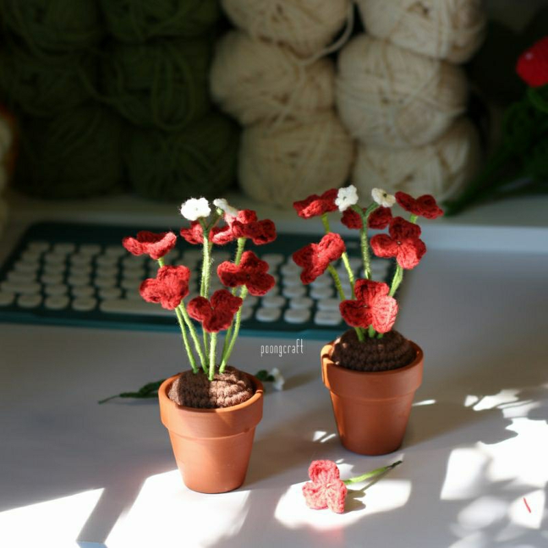 Plants oxalis • handmade ꕤ