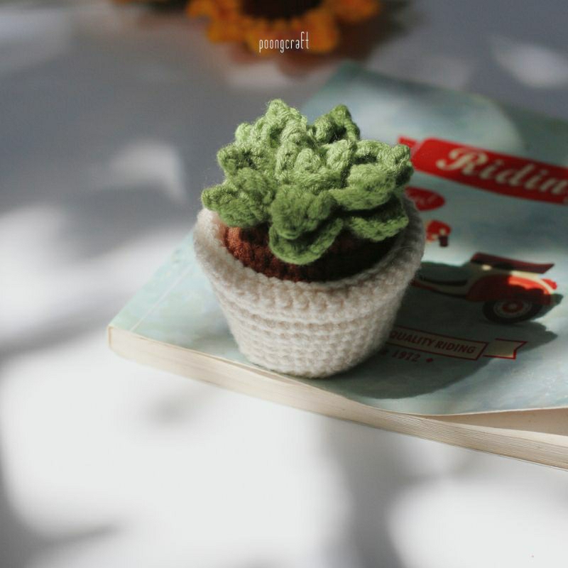 Chậu xuơng rồng handmade • 𝐂𝐀𝐂𝐓𝐔𝐒 , 𝐒𝐔𝐂𝐂𝐔𝐋𝐄𝐍𝐓 •