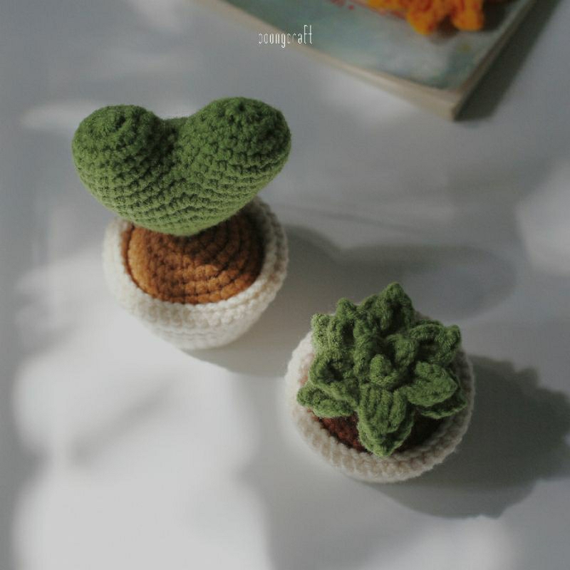 Chậu xuơng rồng handmade • 𝐂𝐀𝐂𝐓𝐔𝐒 , 𝐒𝐔𝐂𝐂𝐔𝐋𝐄𝐍𝐓 •