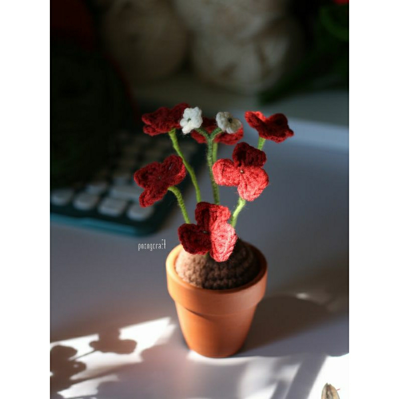 Plants oxalis • handmade ꕤ