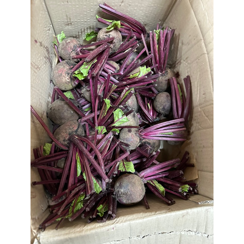 Củ dền tươi Đà Lạt