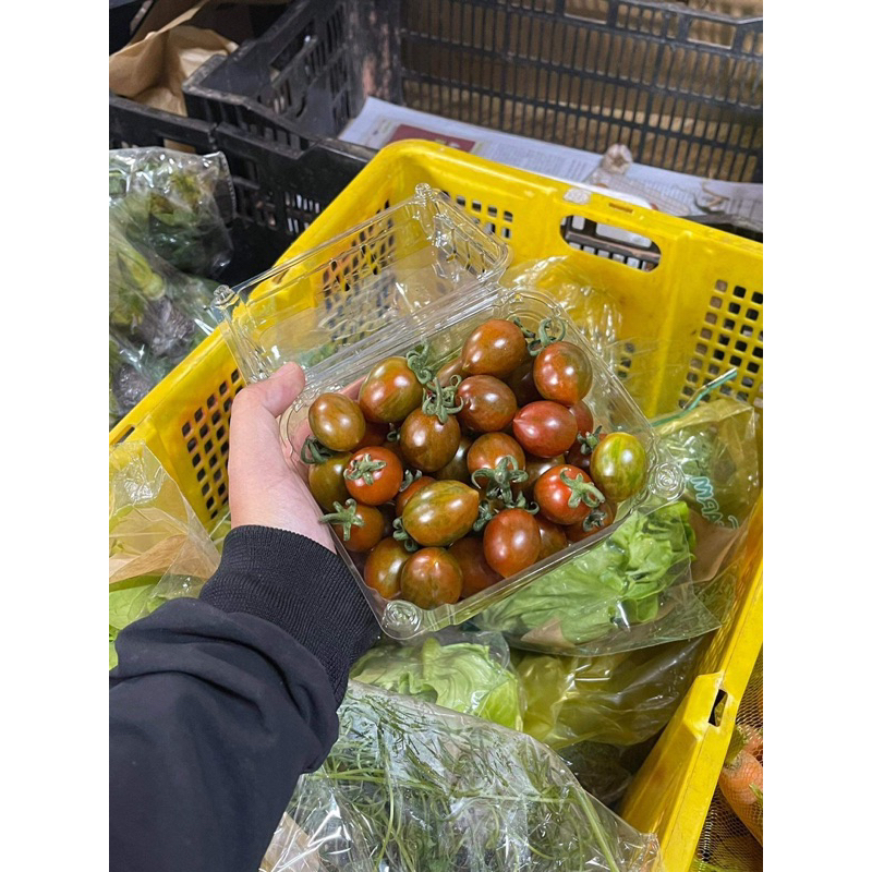 Cà Sô-cô-la Đà Lạt