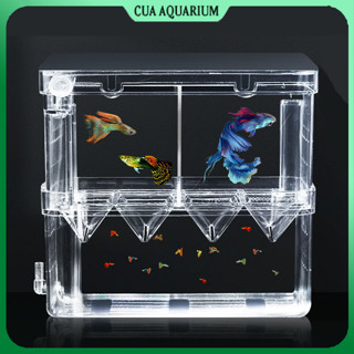 Lồng đẻ cá 7 màu | Lồng dưỡng cá | Lồng cá đẻ bằng mica