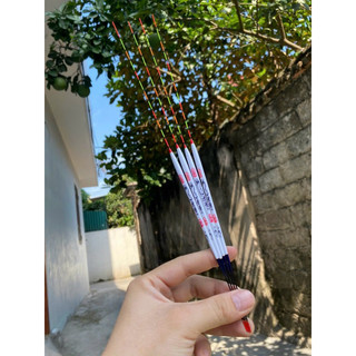 Phao lông công Đạt Ma chuyên chép diếc