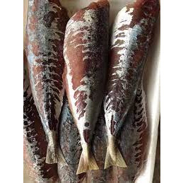 Cá Nục 1 nắng vĩ 500gr (giao tphcm)