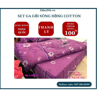 [Xả Kho] - Bộ ga chun chần bông Sông Hồng vải cotton 100% chính hãng