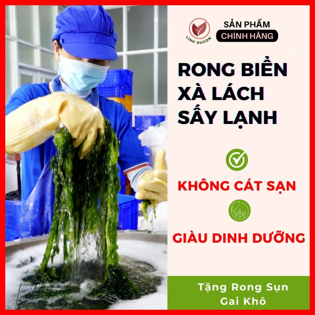 Rong Biển tươi nấu canh, rong biển Xà Lách Sấy Lạnh tốt hệ tiêu hóa, trẻ lâu, phòng bướu cổ tiểu đường | Linhducon