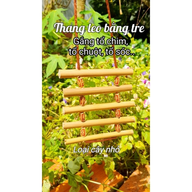 Thang leo bằng gỗ cho thú cưng/Thang dây/Thang cho thú cưng/Thang gỗ