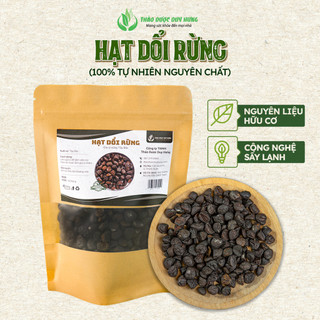 Hạt Dổi Nếp Tây Bắc (Hàng Chuẩn Rừng Cổ Thụ) - Hạt To, Thơm Nồng Vị Cay Chuẩn Gia Vị Cho Các Món Nướng