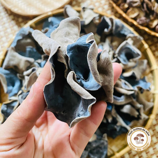 Mộc nhĩ khô loại tai to, dày