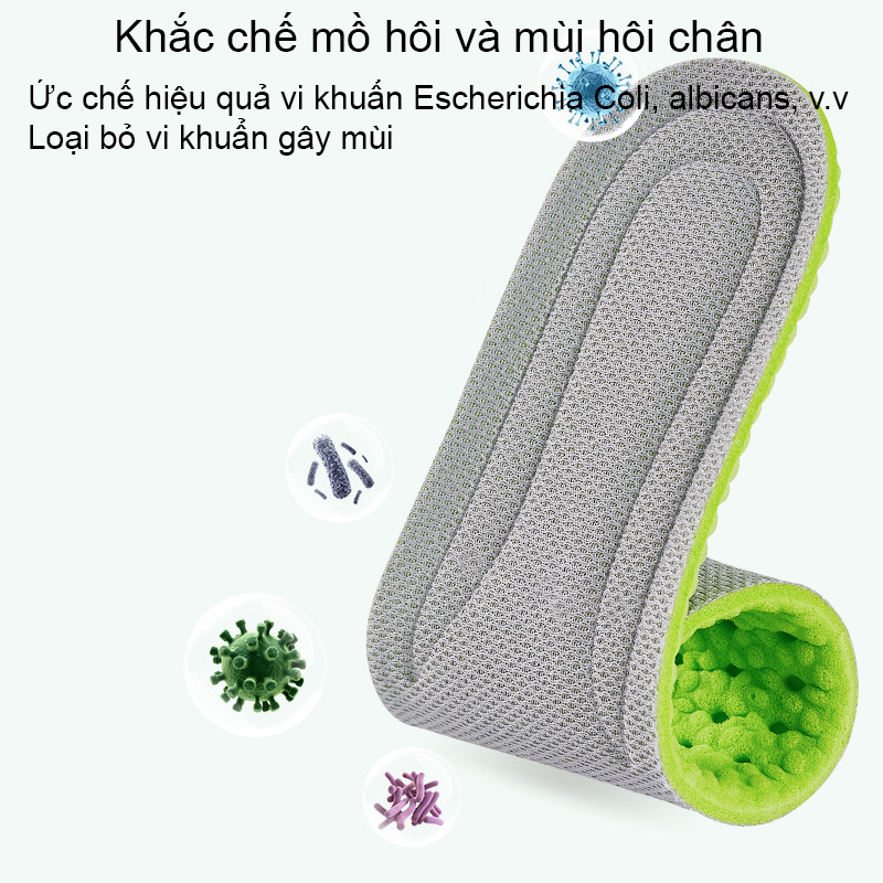 Lót giày thể thao êm chân lá ngải siêu nhẹ thoáng khí, khử mùi, hút ẩm XLGTT25