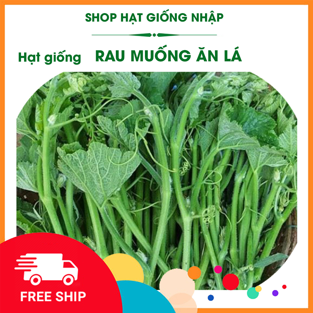 Hạt Giống Bí Siêu Ngọn