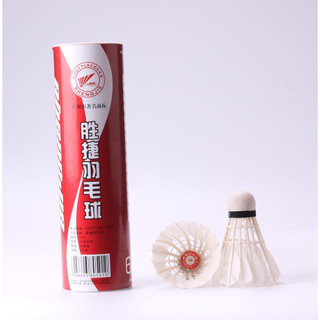 ỐNG CẦU LÔNG