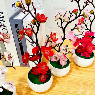  Chậu Hoa Đào Giả - Chậu Hoa Đào cắm sẵn nhiều loại đủ màu sắc trang trí văn phòng tiệc tiện dụng 