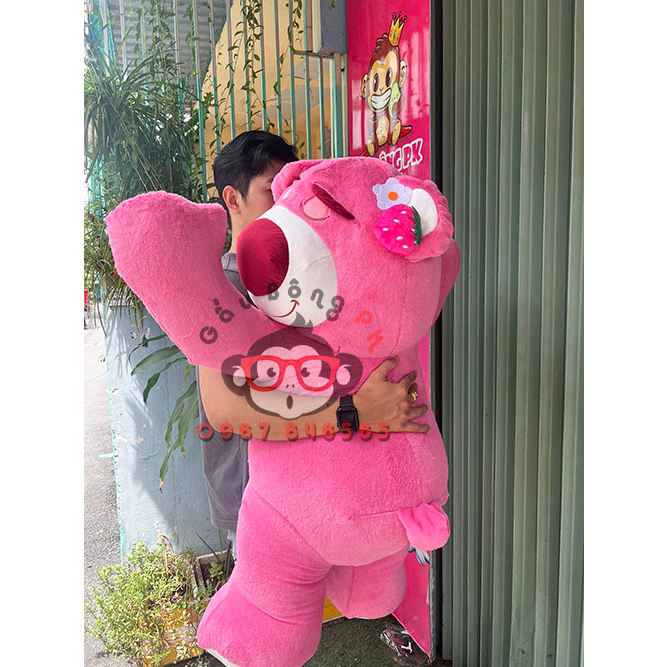 Gấu bông gấu dâu gấu hồng Lotso khổng lồ 1m1