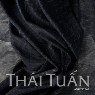 Vải Thái Tuấn - Gấm Ảo Sắc Kim Tuyến Màu Đen Co Giãn Nhẹ (Khổ 1m50±2, Dài 2 Mét) | ASBL725-040