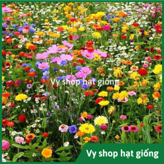 Gói 100g hạt giống hoa hỗn hợp mix nhiều loại trồng sân vườn