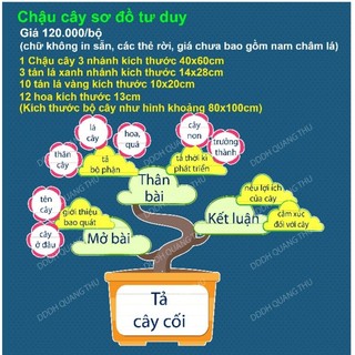 Chậu cây sơ đồ tư duy