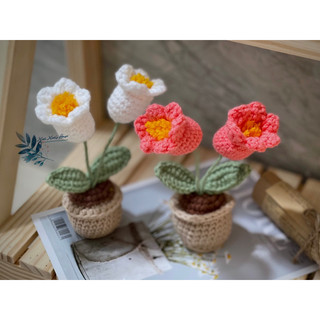 Chậu hoa chuông bằng len để bàn(100%handmade )