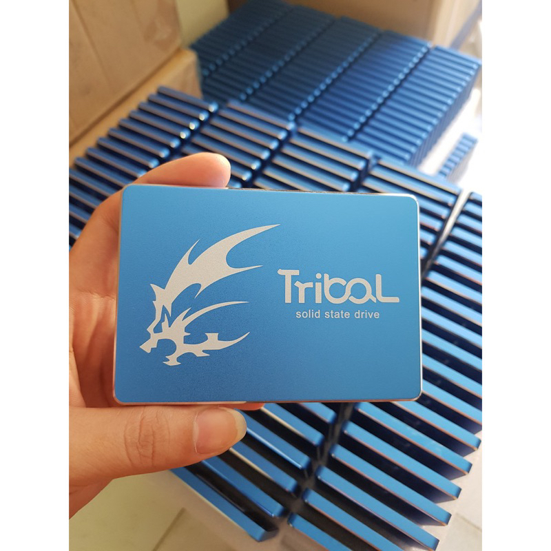 𝐒𝐒𝐃 𝐓𝐑𝐈𝐁𝐀𝐋 𝟐.𝟓 𝐒𝐀𝐓𝐀𝟑 𝟏𝟐𝟎𝐆𝐁 .