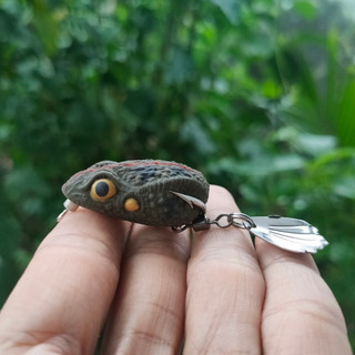 Nhái hơi R8 lưỡi độ không rỉ