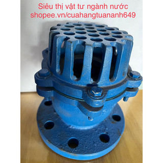 Rọ bơm gang mặt bích gang sắt thép 76/90/114