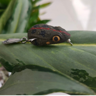 Nhái hơi R8 lưỡi độ không rỉ